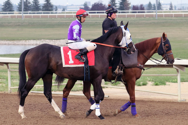 Bodemonster and Zenteno Jr. leading the post parade on August 1 for the Count Latham stake