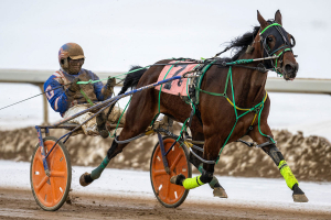 Pure Addition and Giesbrecht winning the 8th race on Saturday at Century Mile