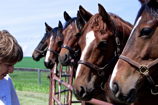 Living Happily Ever After