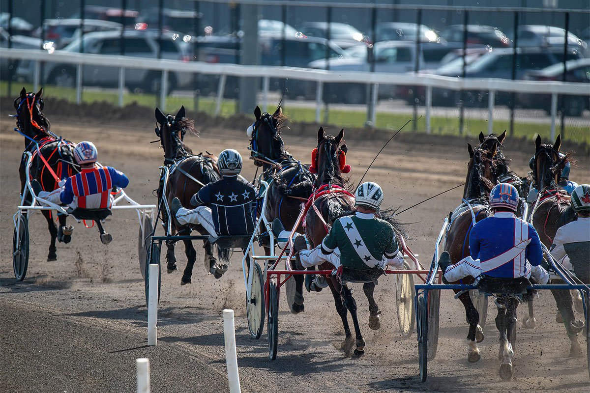 Mademechangemymind Aims to Upset Unbeaten Custard Dolce in McClellan Showdown