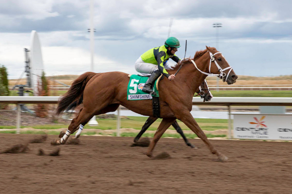 Shimshine split Regal Max and Zippity Zap at the wire