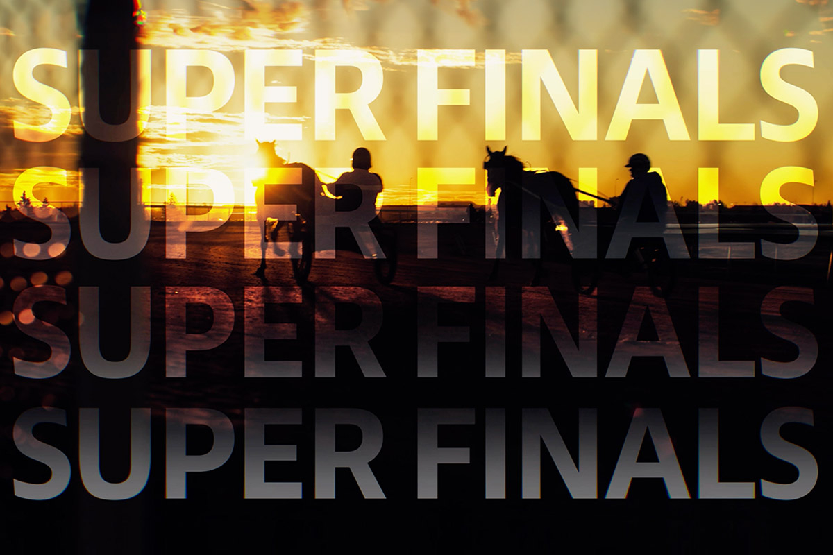 2024 Alberta Sire Stakes Super Finals - November 2 (video)