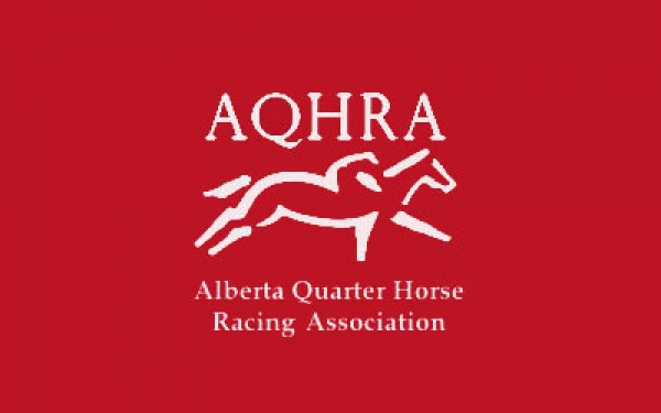 Are you looking for a race horse?