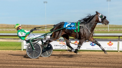Kneedeep N Custard in the Western Canada Pacing Derby at Century Mile on the weekend
