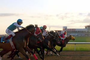 Diodoro discusses having two favourites in upcoming Canadian Derby