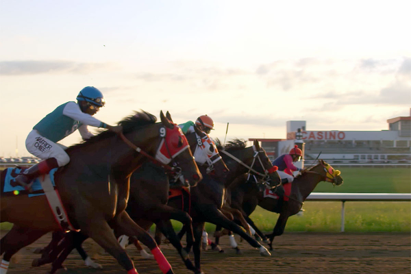 Diodoro discusses having two favourites in upcoming Canadian Derby