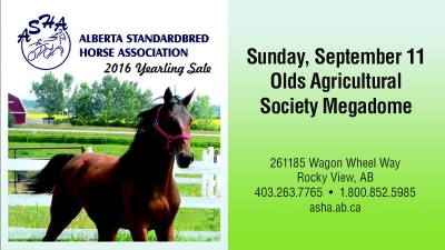 ASHA Yearling Sale Shows Strong Support