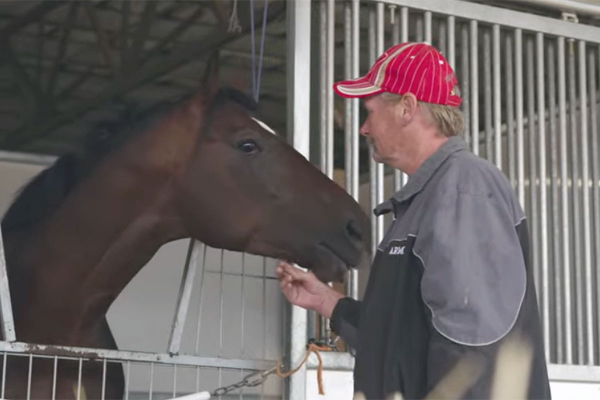 Article slate image - click video player in article below...