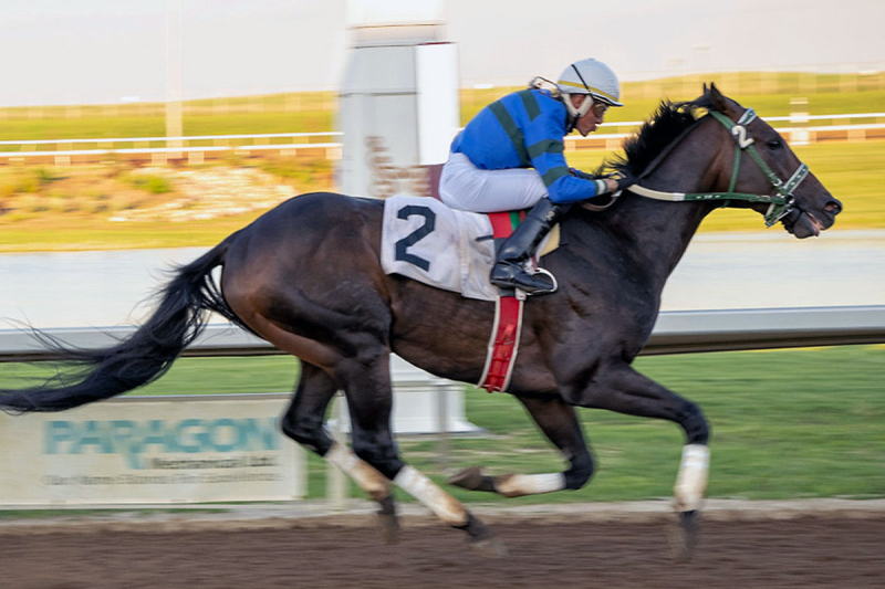 One for Chap and Enrique Gonzalez at the wire on Friday at Century Mile