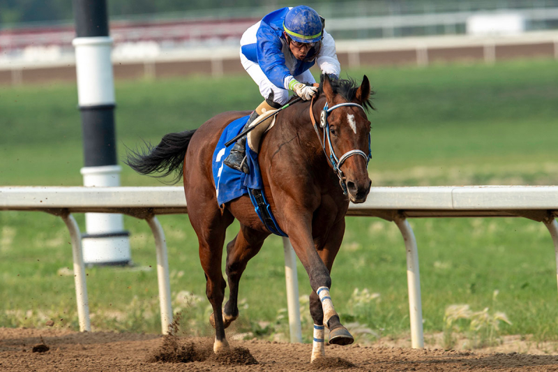 Kystone and Rafael Zenteno in the stretch on June 10 at Century Mile