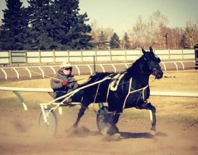 The Race &amp; Pace - Seeds of a Career