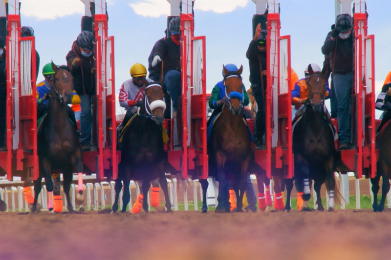 Contenders slate screen - play video below