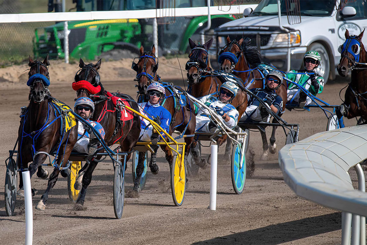 Custard Dolce Leads Parade of Stars on Rumpel/Klein Eliminations Day