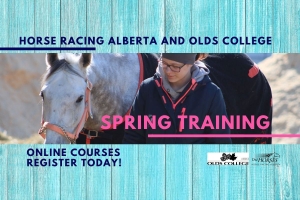 Spring Training for Licensees