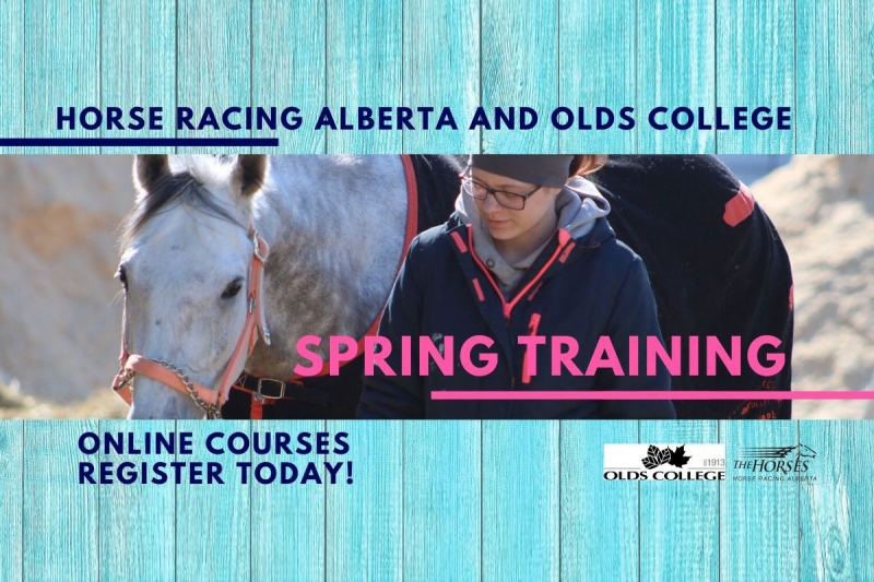 Spring Training for Licensees