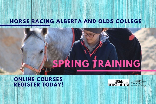 Spring Training for Licensees