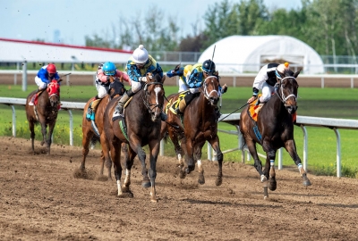 Gem Alta in the Fred Jones Stake this weekend at Century Mile