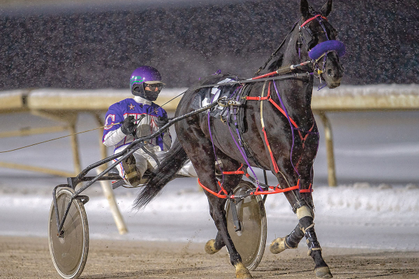 Forecast for Sunday's stake finales: -2°C, with a chance of very fast and competitive