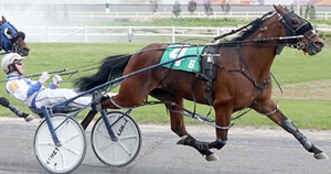 Icy Blue Scooter and MacDonald winning at Century Downs