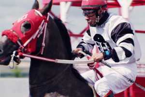 Alberta CTHS Sales Stakes Day - HRA Promo (video)