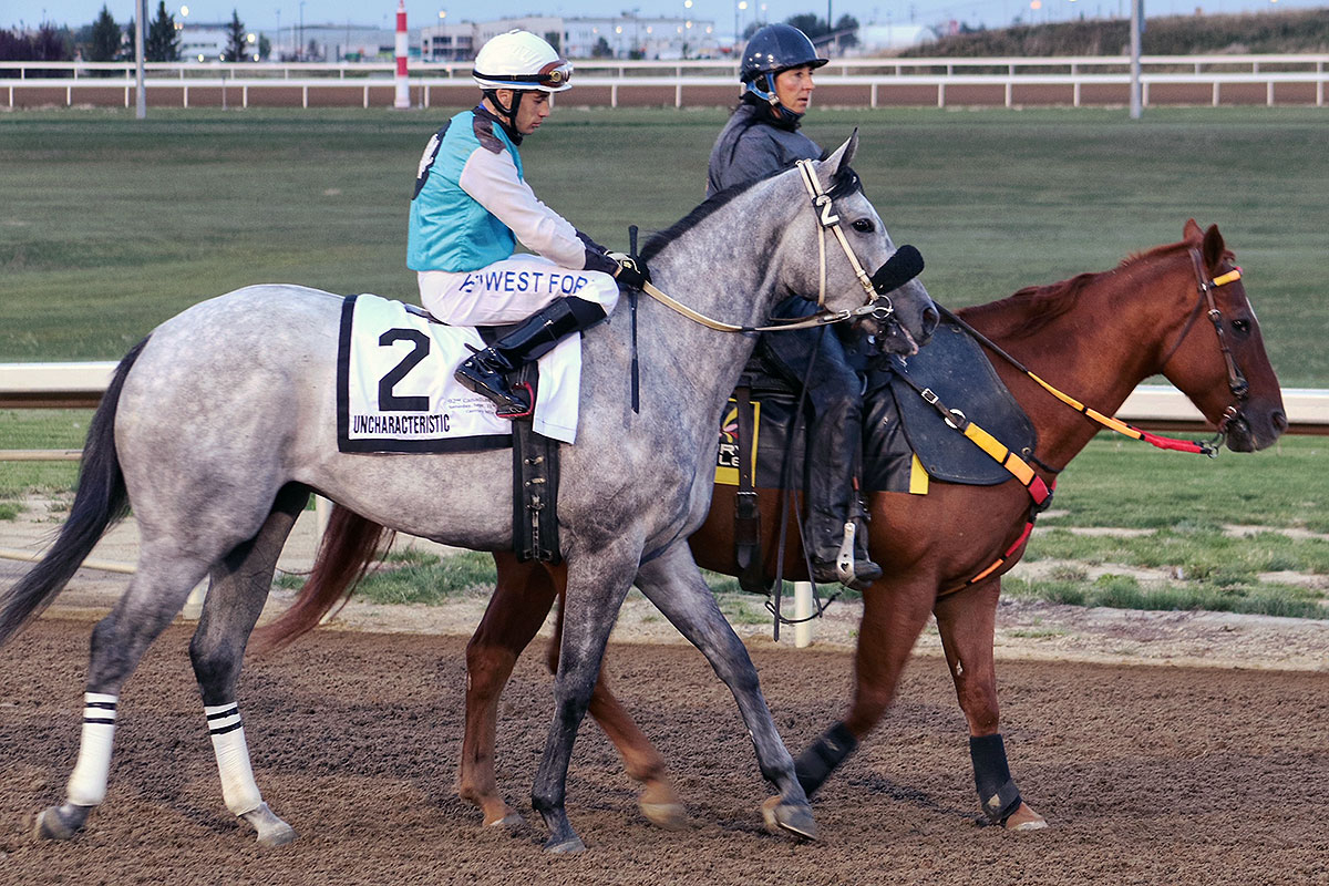 Alex Marti and Uncharacteristic on parade before the 2021 Canadian Derby