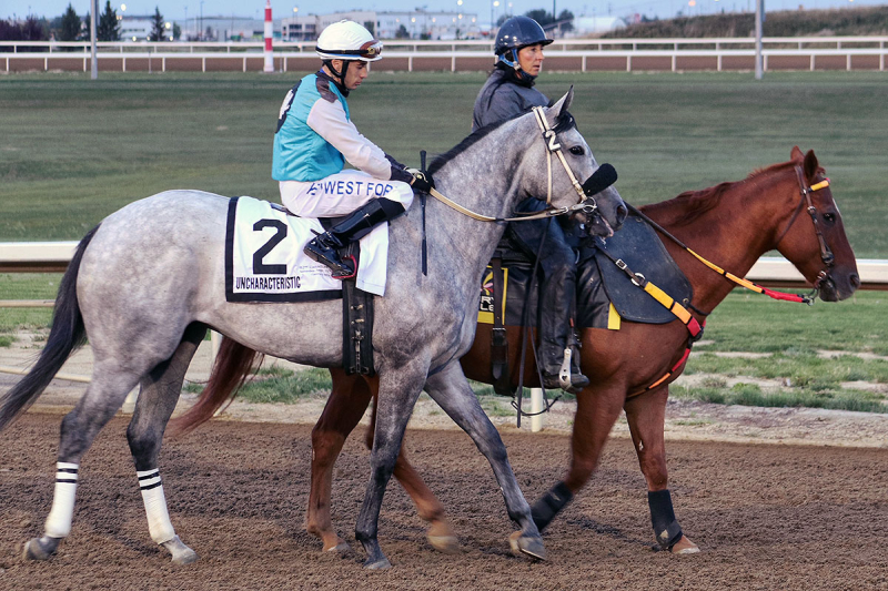 Alex Marti and Uncharacteristic on parade before the 2021 Canadian Derby