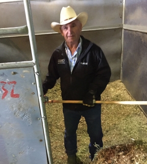 Bucky Stockwell working in the barns at RMTC