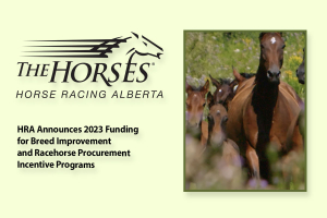 HRA Announces 2023 Funding for Breed Improvement and Racehorse Procurement Incentive Programs