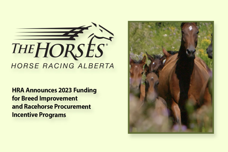 HRA Announces 2023 Funding for Breed Improvement and Racehorse Procurement Incentive Programs