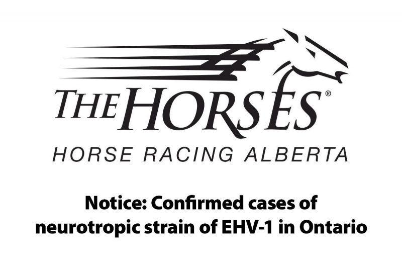 Notice: Confirmed cases of neurotropic strain of EHV-1 in Ontario