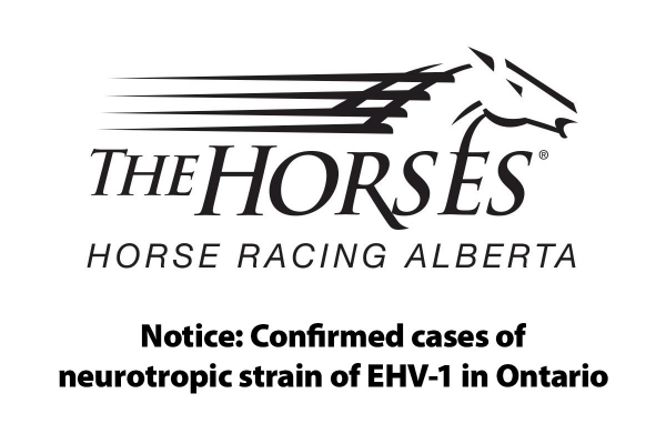 Notice: Confirmed cases of neurotropic strain of EHV-1 in Ontario