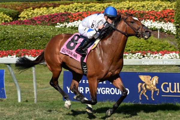 Heart to Heart at Gulfstream Park earlier this year