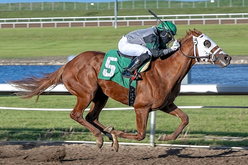 Classy City and jockey Rasheed Hughes in the stretch drive of the Western Canada Handicap