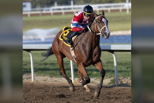 Infinite Patience in the stretch drive of the Northlands Distaff Handicap at Century Mile Sept. 11, 2021