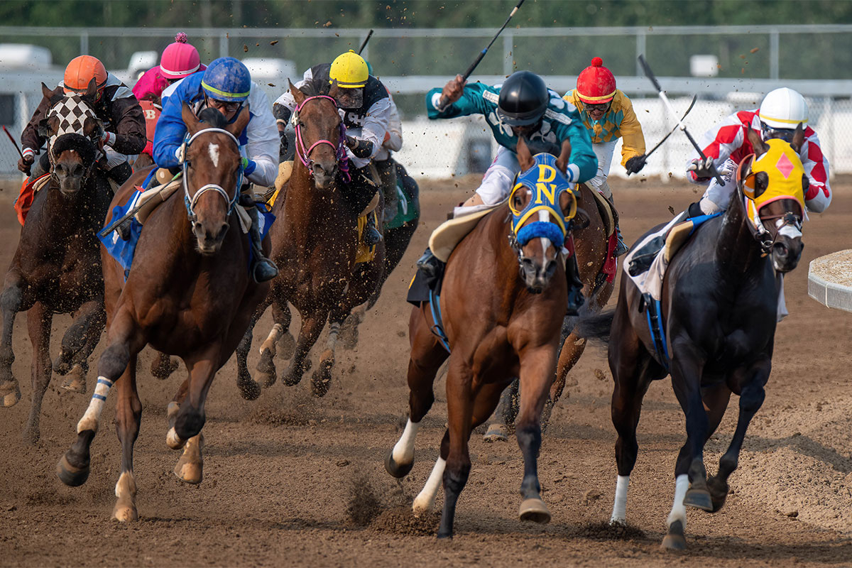 Sugar Beets, Cattle, and Champions: How Alberta’s Randy Howg Became a Top Racehorse Owner