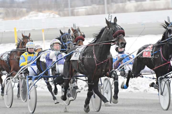 Prince Sharka last winter in Ontario