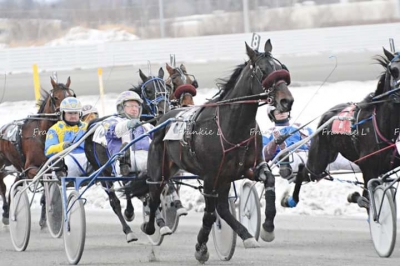 Prince Sharka last winter in Ontario