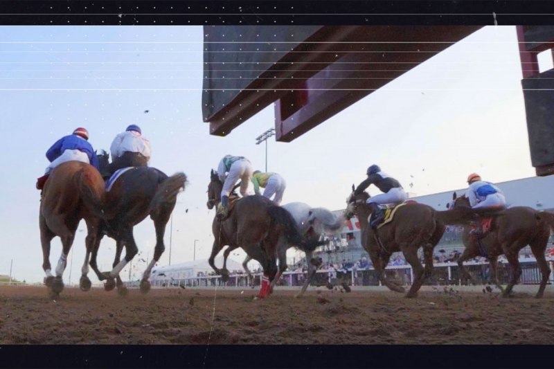 Alberta Breeders' Fall Classic slate screen - play video below