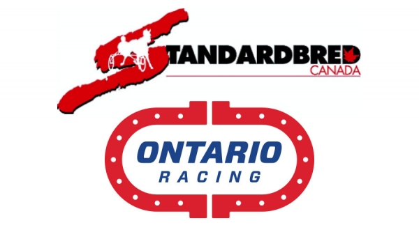 2017 Media Excellence Award Finalists Announced