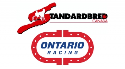 2017 Media Excellence Award Finalists Announced