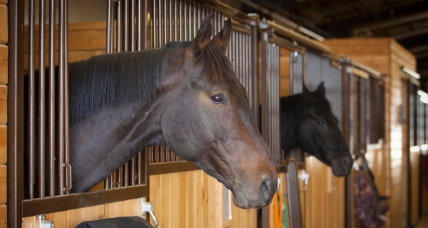 The Bucket List — Boot Camp Day 2 Recap