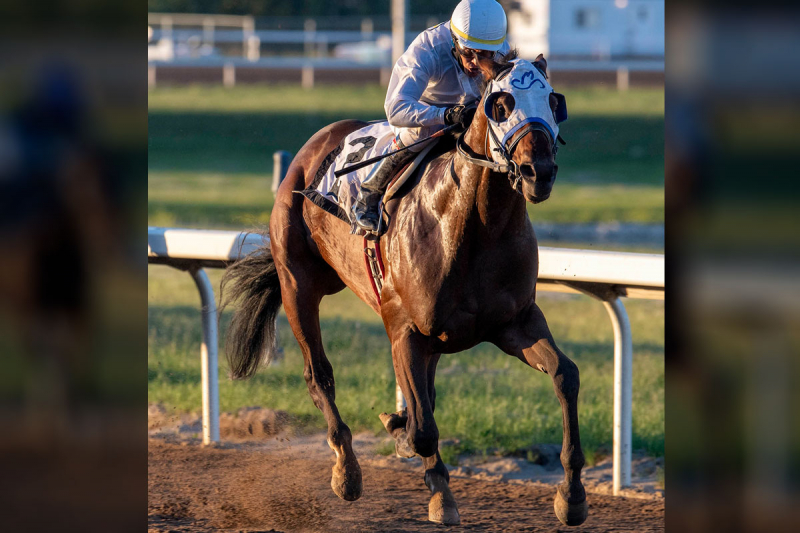 Tony's Tapit in the Western Canada Handicap on June 20, 2021