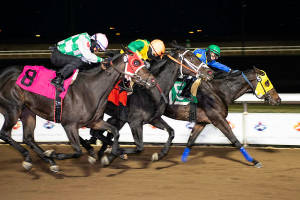 Solo Ring nips Dune d’Oro and Zicatela at the wire in the CTHS Sales Stake at Century Mile - October 18th, 2020