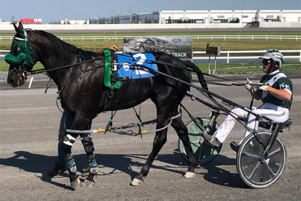 Codename Cigar Box and Kelly Hoerdt
