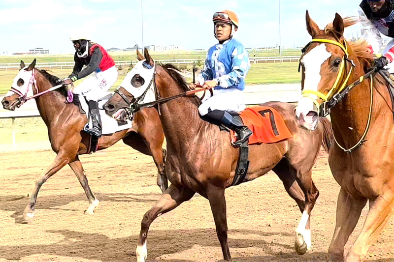 Horse Health with Dawn Lupul - Equine Cardiovascular Health (video)