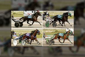 Lucas Mccain, Codename Cigar Box take the Ralph Klein Elims, Burning Hot and Graceful Horizon win the Rumpel Memorial Eliminations