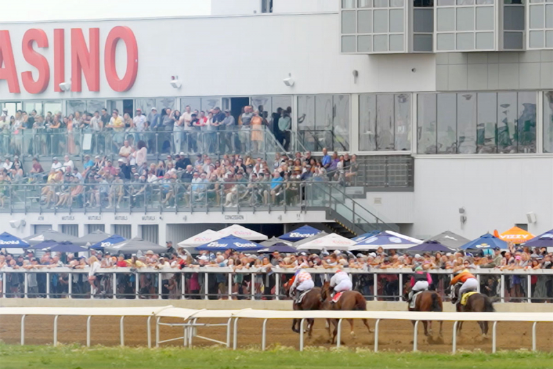 Four Stakes on the card this Saturday at Century Mile