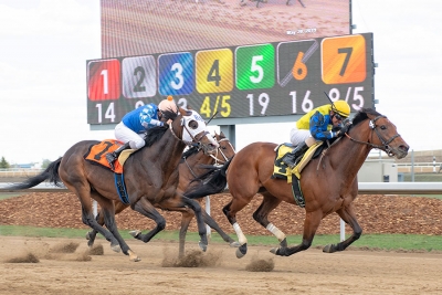 CEO Verlik sees positives in Alberta racing rejuvenation