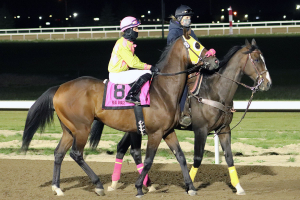 Malvaez in post parade aboard Real Grace at last year's Canadian Derby