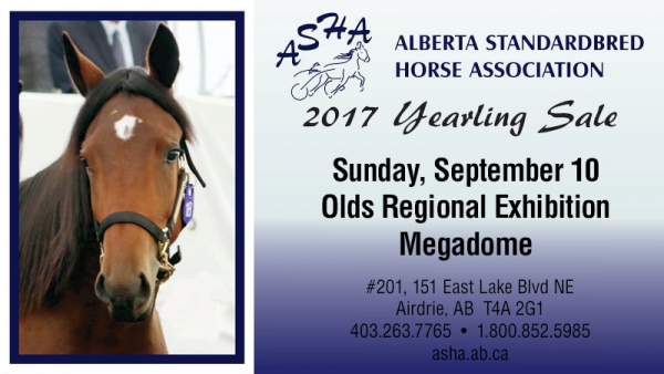 2017 ASHA Yearling Sale